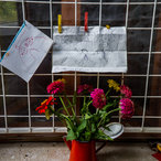 2016_enina-6.jpg