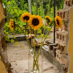 enina_2014-05913.jpg